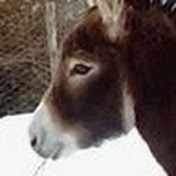 Profile Picture of Simona Ugolotti (@ugolottisimona) on Youtube