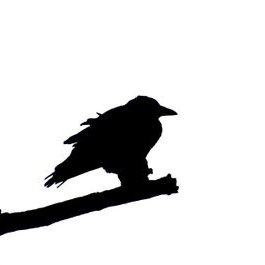 Profile Picture of Josh Gerken (@GerkenJosh) on Twitter