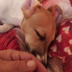 Profile Picture of Daniel Leszczyński (@daniel.leszczynski.148) on Instagram