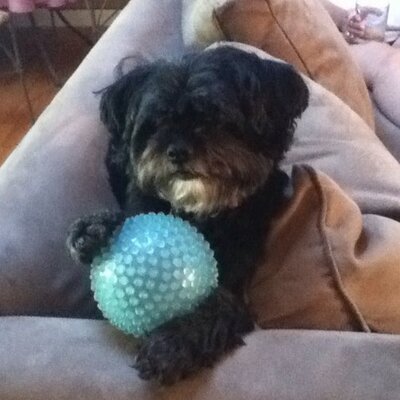 Profile Picture of colin mckissick (@Colinmck00) on Twitter