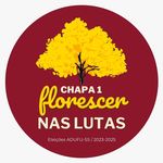 Profile Picture of Chapa 1 - Florescer nas Lutas (@chapa1adufu) on Instagram