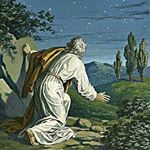 Profile Picture of Steven Harawa (@stevenharawa) on Instagram