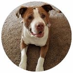 Profile Picture of kenneth Fulkerson (@fulkersonkenneth) on Instagram
