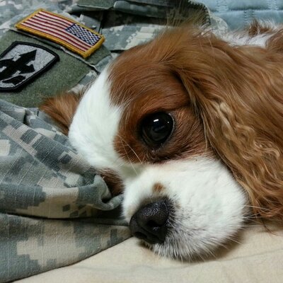 Profile Picture of Brian Kwak (@BrianKwak54) on Twitter