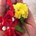 Profile Picture of Shelly Oberoi (@shelly.oberoi.98) on Facebook