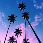 Profile Picture of @sethlynn (@iconicseth) on Instagram