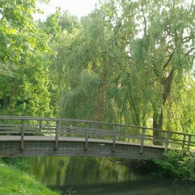 Profile Picture of Ingrid Lucas (@IngridLucas015) on Twitter