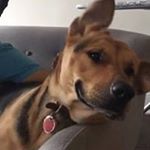 Profile Picture of Mark Orem (@mark.orem.94) on Instagram