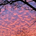 Profile Picture of Shelley Mohr (@shelley.mohr.90) on Facebook