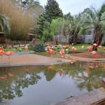 Profile Picture of Devin Shafer (@shaferdevin95) on Facebook