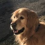 Profile Picture of Chris Rouse (@chris_rouse33) on Instagram