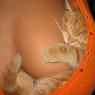 Profile Picture of Soundarya Sweetie (@soundarya.sweetie) on Facebook