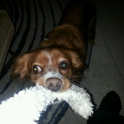 Profile Picture of Jackson Beauchamp (@beauchampberg) on Twitter