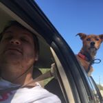 Profile Picture of Scott Kilburn (@corn.cob.boy) on Instagram