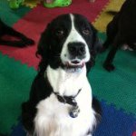 Profile Picture of Michelle Struebing (@michellestruebing64) on Instagram