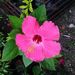 Profile Picture of Tina Reimer (@stanleytina96) on Pinterest