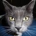 Profile Picture of Diane Duvall (@diane.duvall.39) on Facebook