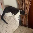 Profile Picture of   David Querubin (@davey.q83)... (@davey.q83) on Tiktok