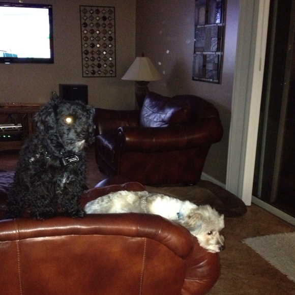 Michelle Haran - Poshmark Profile Picture of Michelle Haran (@mharan) on Poshmark