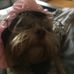 Profile Picture of Torey Hickson (@torey.hickson.5) on Facebook
