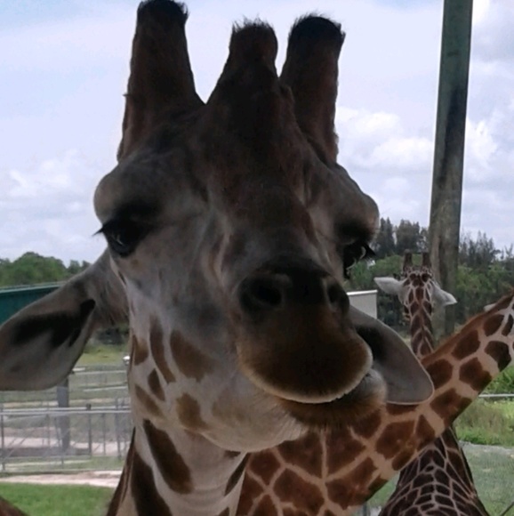 Profile Picture of Kim Ryan (@jersey2fl) on Poshmark