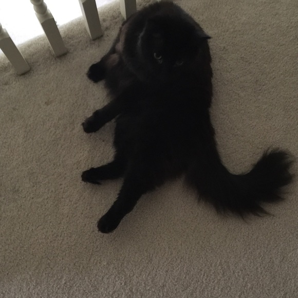 Profile Picture of Benjamin Aukerman (@baukerman1991) on Poshmark