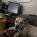 Profile Picture of Pete Sutherland (@pete.sutherland.125) on Facebook