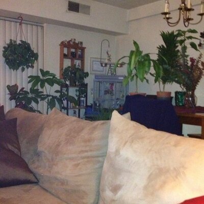 Profile Picture of Tammy Pearce (@tbricker314) on Twitter