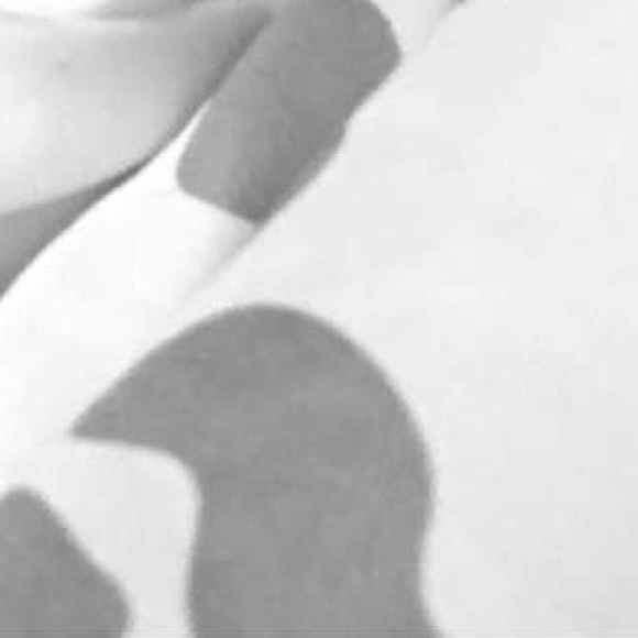 Profile Picture of Jared Odom (@jaredodom) on Poshmark