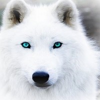 Profile Picture of Brian Monroe (@brian-monroe-15) on Quora