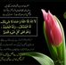 Profile Picture of Saynab Hassan (@saynab.hassan.1232) on Facebook