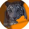 Profile Picture of Kizzy Paulson (@kizzypaulson) on Tiktok