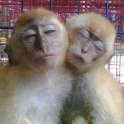 Profile Picture of BAHARIN BOBROY (@bbaharin88) on Twitter