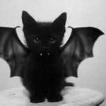 Profile Picture of Fineberg Letitia (@grimesshirleengr7817) on Instagram