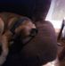 Profile Picture of Scott Chatfield (@scott.chatfield.376) on Facebook