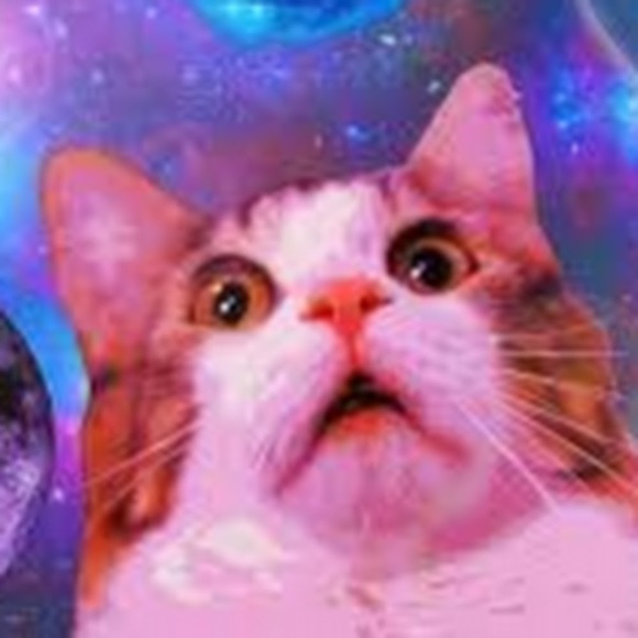 Profile Picture of Nicholas Belcher (@pickle_clothes) on Poshmark