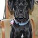 Profile Picture of Darrell Best (@best4940) on Pinterest