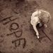 Profile Picture of David Courter (@courterdavid) on Pinterest