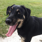 Profile Picture of Benjamin Johnson (@benjaminjohnson2897) on Youtube