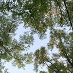 Profile Picture of Audrey Strepek (@audreystrepek) on Instagram