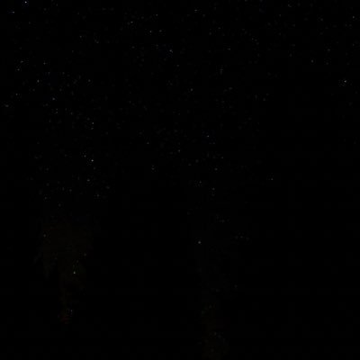 Profile Picture of Evan Miles (@Evanmiles_) on Twitter