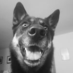 Profile Picture of Brian Fieber (@brianfieber) on Instagram