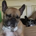 Profile Picture of Patty Carson (@pattycarson53) on Instagram