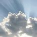 Profile Picture of Cathy Ontiveros (@cathyo80) on Pinterest
