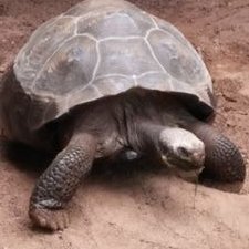 Ron Muller - Twitter Profile Picture of Ron Muller (@hotel_echo999) on Twitter