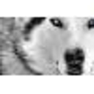 Profile Picture of Lori Cammack (@169974490) on Myspace