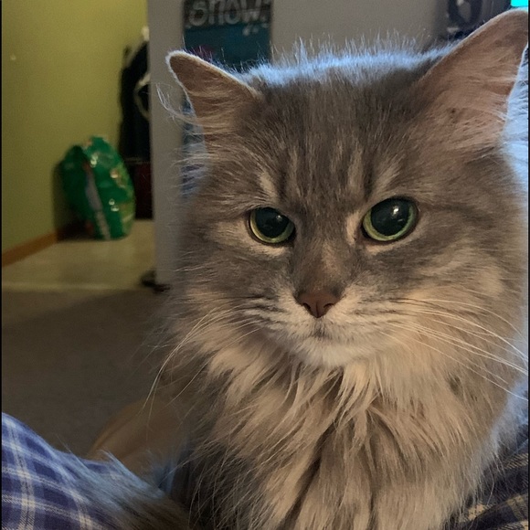 Profile Picture of Sherri Wilson (@sherriwilson103) on Poshmark