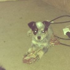 Profile Picture of Kyle Conover (@kyle_conover) on Twitter