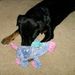 Profile Picture of Kim Hemmings (@krd1763) on Pinterest