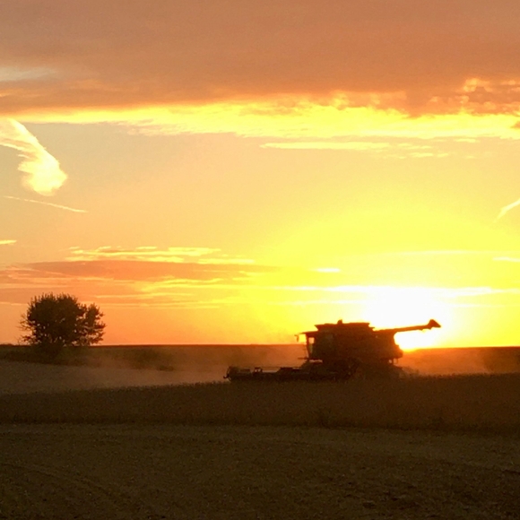 Profile Picture of Kari Riessen (@kariessen) on Poshmark